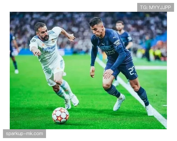 纳乔防守端价值解析