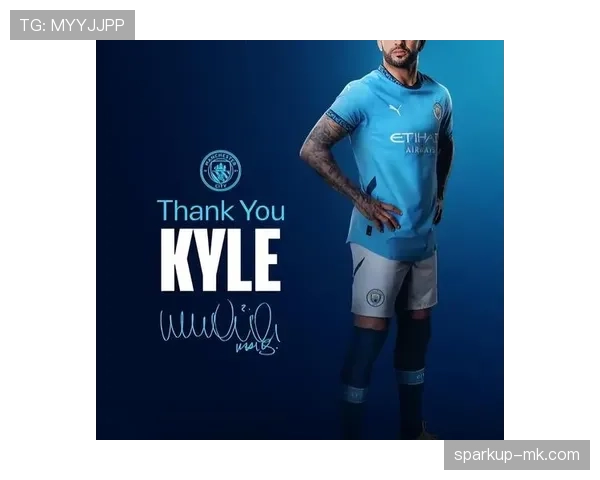 切尔西大规模引援效果争议显现，对球队近期表现稳定性产生影响